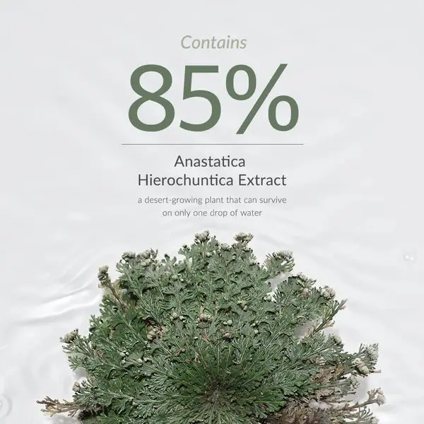 Anastatica Skin Conditioning Toner - Image 3