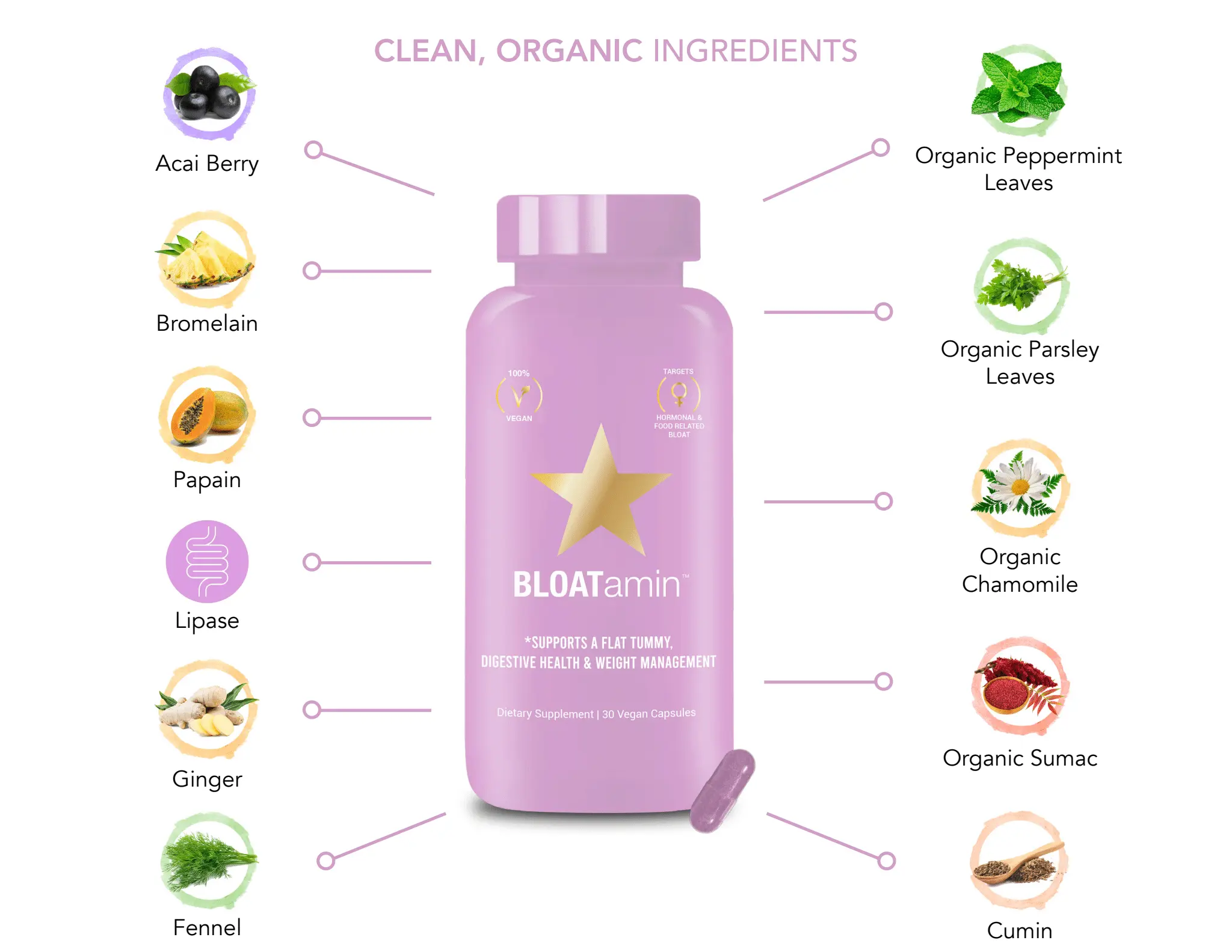 Bloatamin Capsules - Image 5