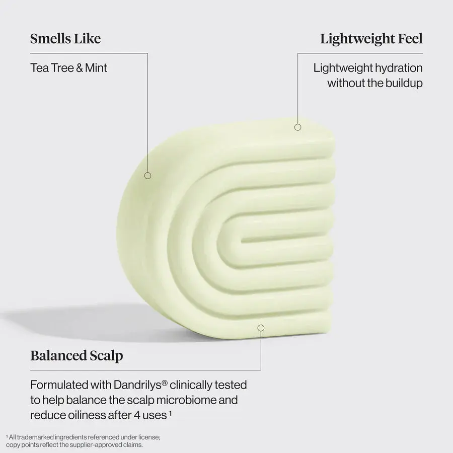 Clarifying Tea Tree & Mint Shampoo & Conditioner Bar Set - Image 5